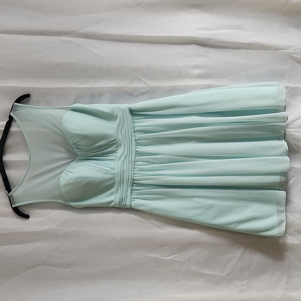 David's Bridal guest/ bridesmaid dress